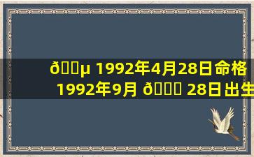 🌵 1992年4月28日命格（1992年9月 🐘 28日出生的人命运）